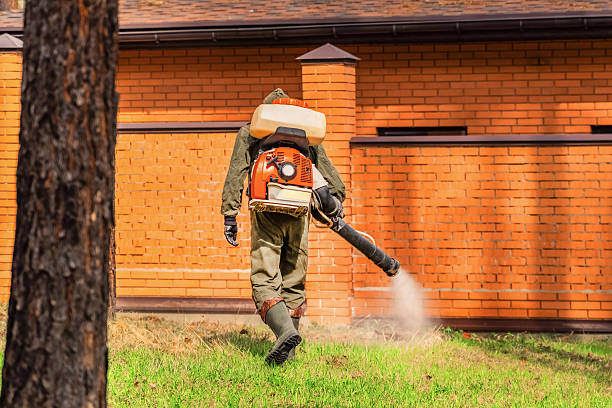 Trusted Emergency Pest Control service in Capitan, NM - Nex Pest Control